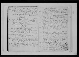 278.jpg